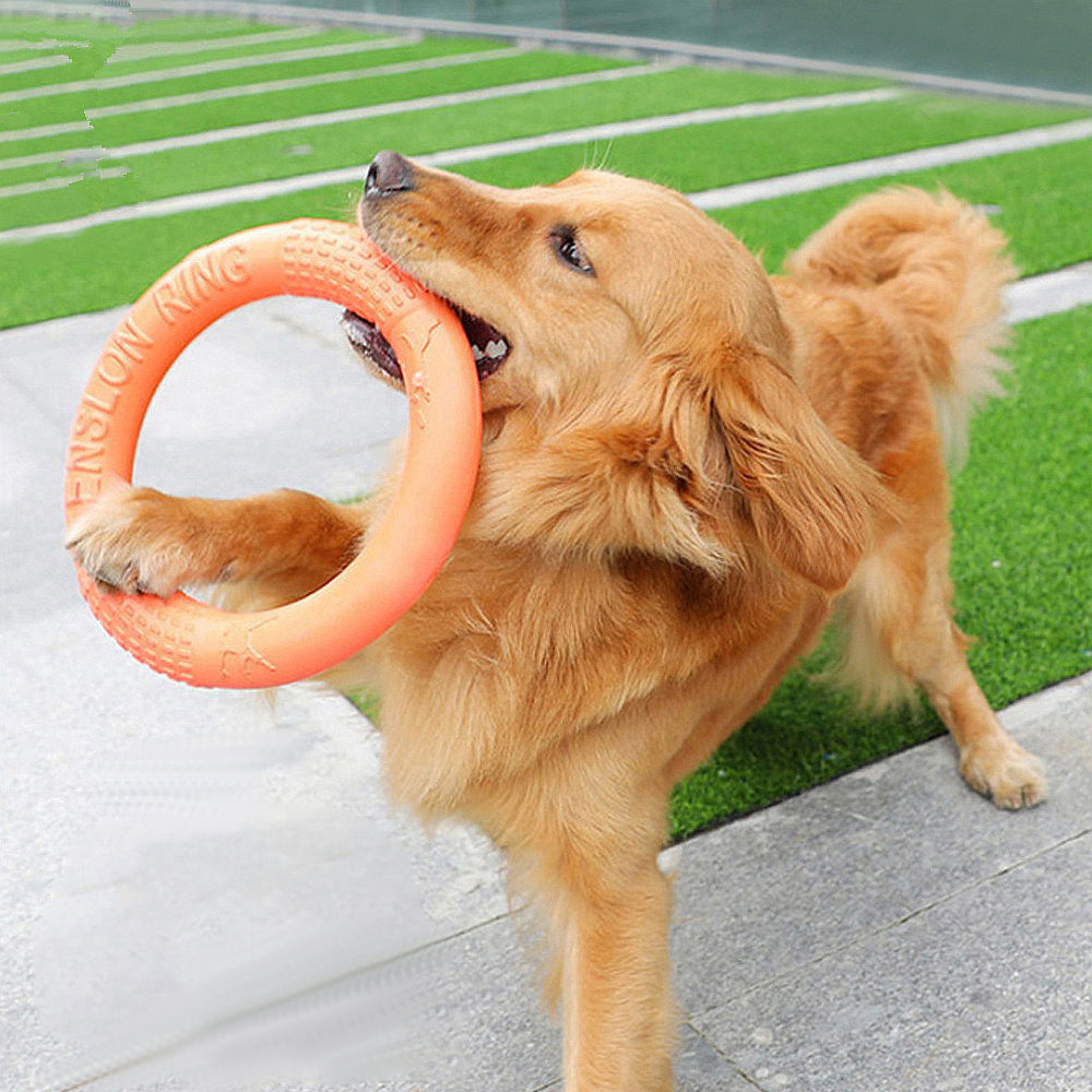 Dogs Rubber Discs Toy