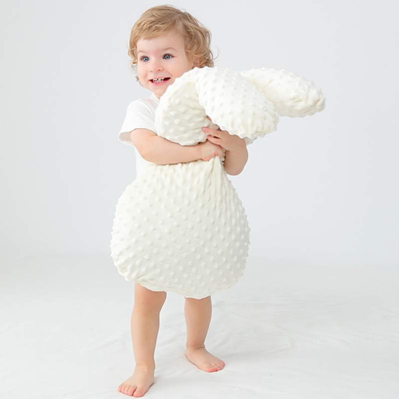 Quiet Minky Dot Rabbit
