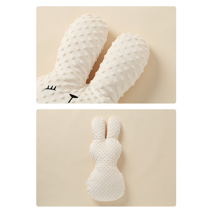 Quiet Minky Dot Rabbit