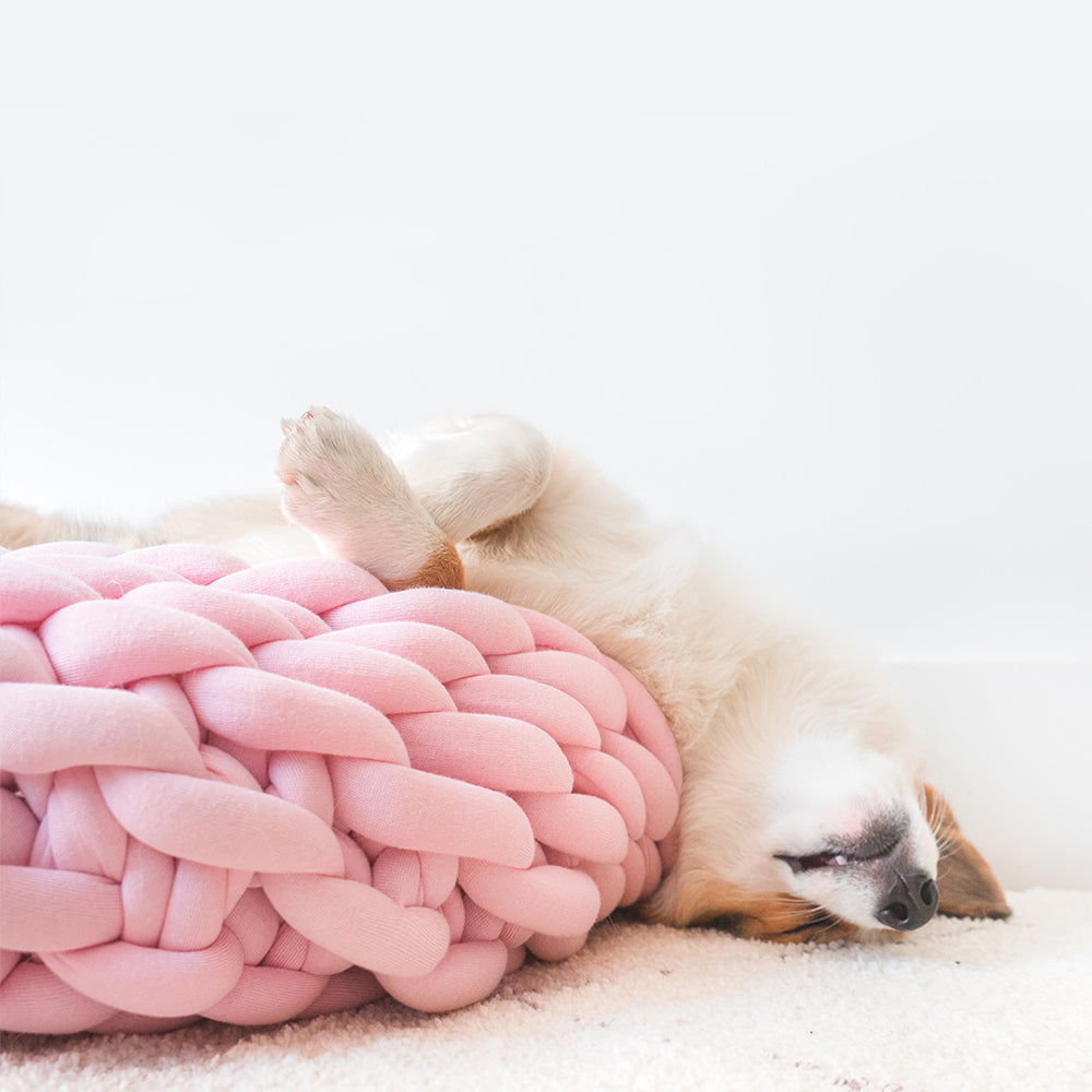 Chunky Knit Pet Bed