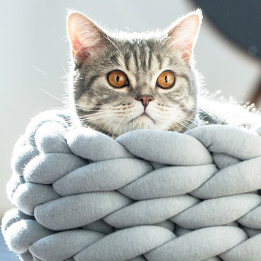 Chunky Knit Pet Bed