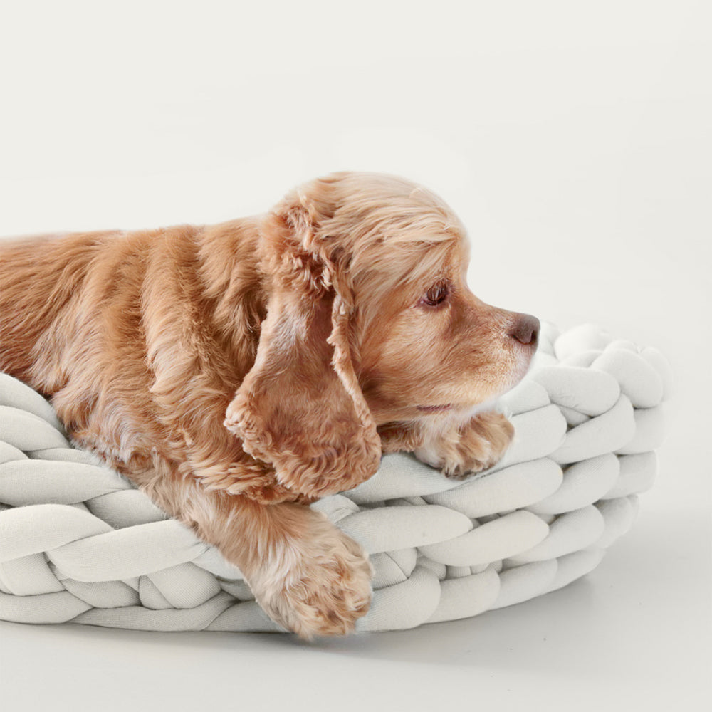 Chunky Knit Pet Bed