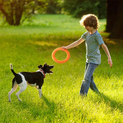 Dogs Rubber Discs Toy