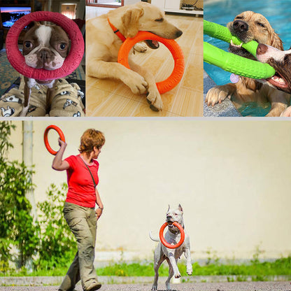 Dogs Rubber Discs Toy