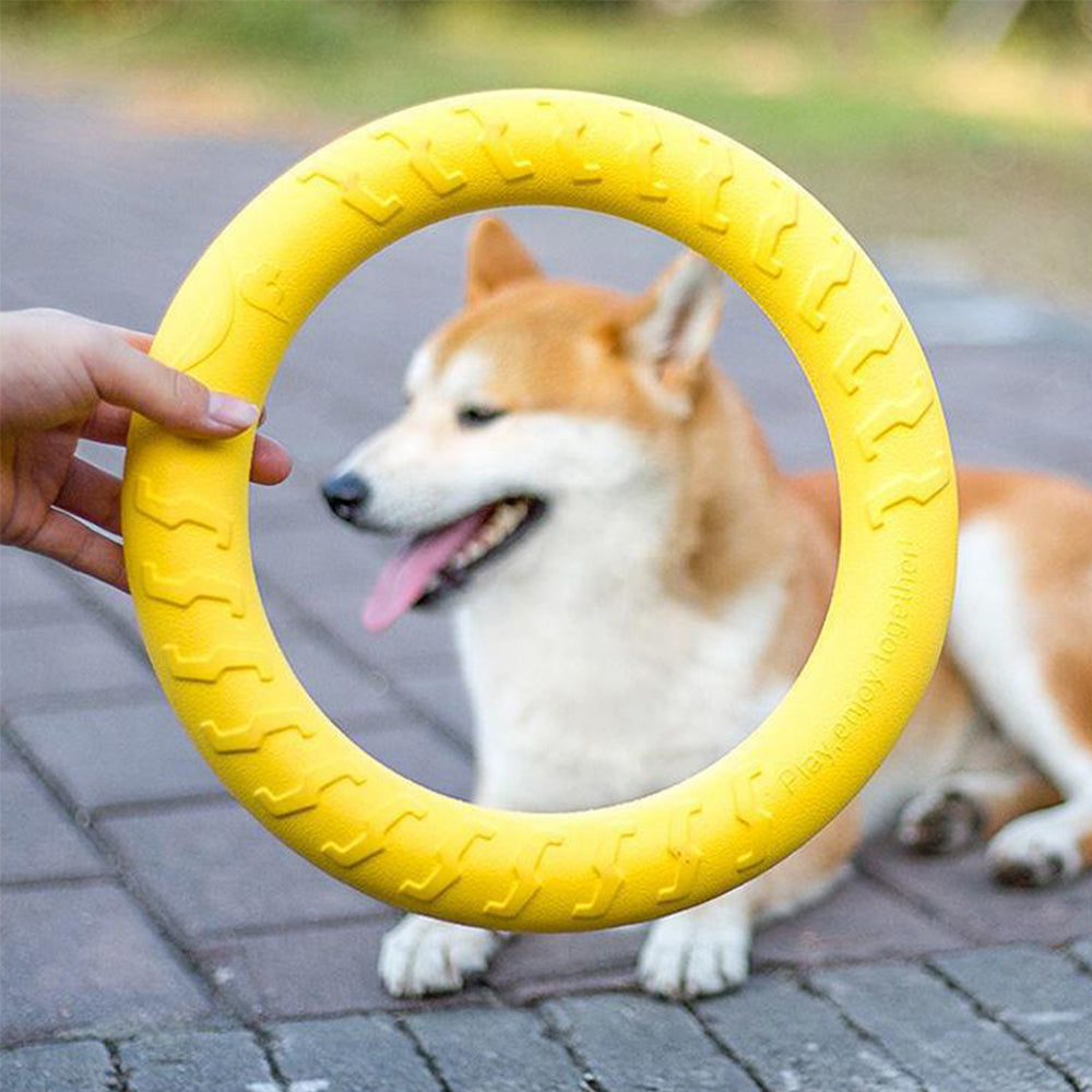 Dogs Rubber Discs Toy