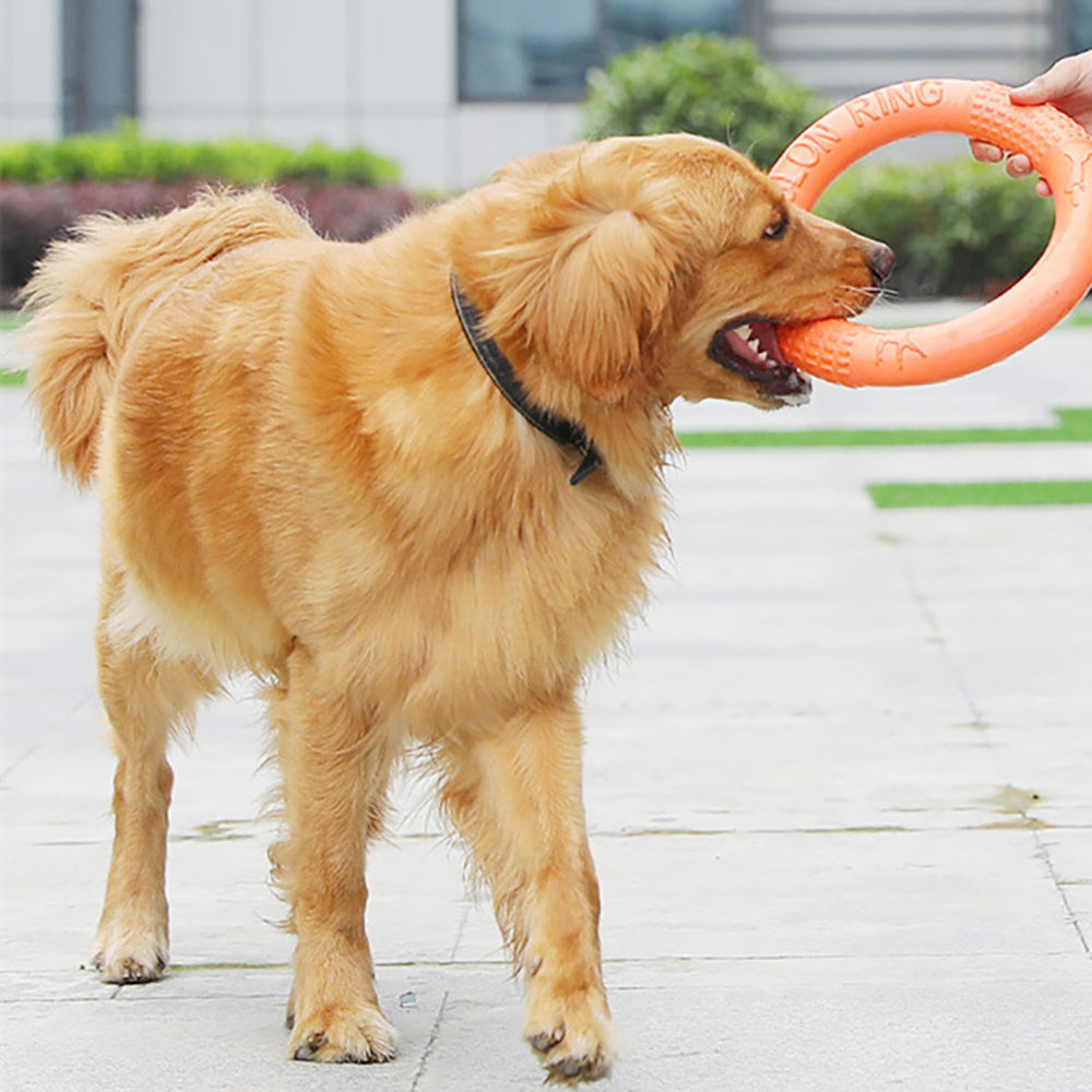 Dogs Rubber Discs Toy