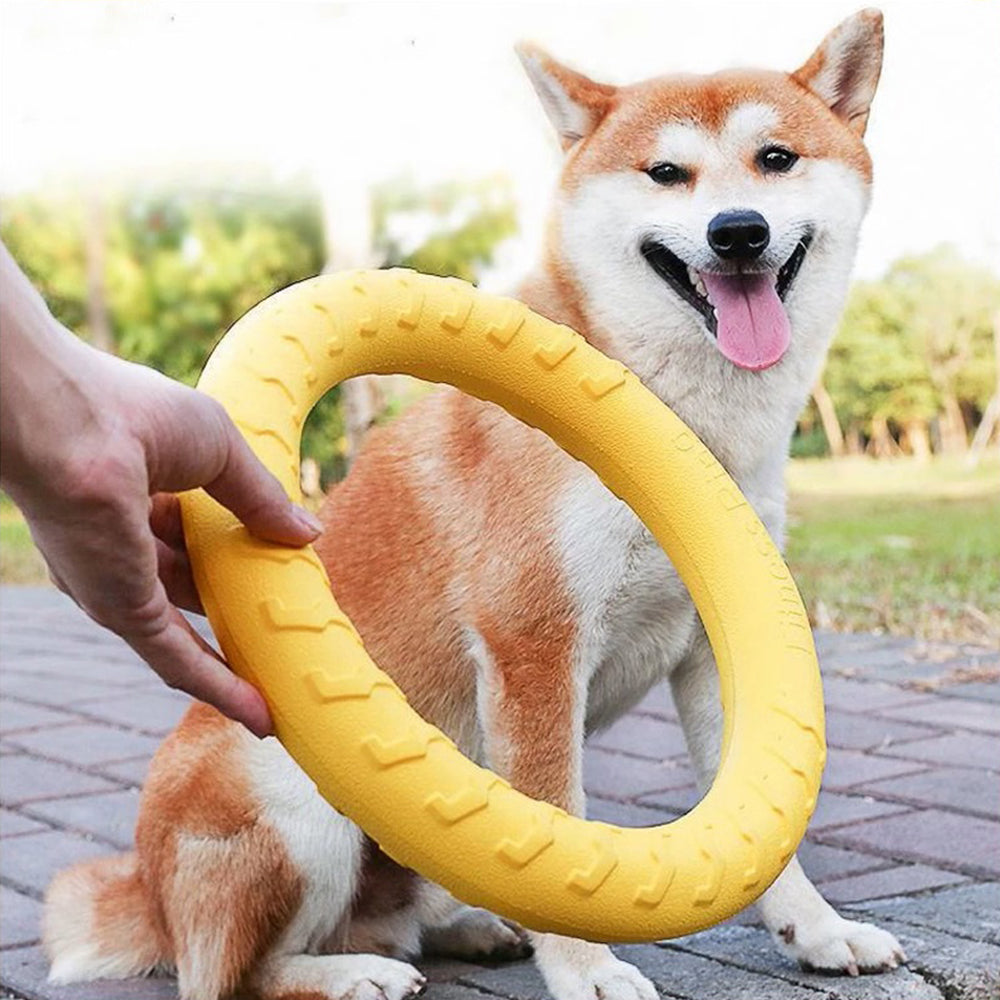 Dogs Rubber Discs Toy