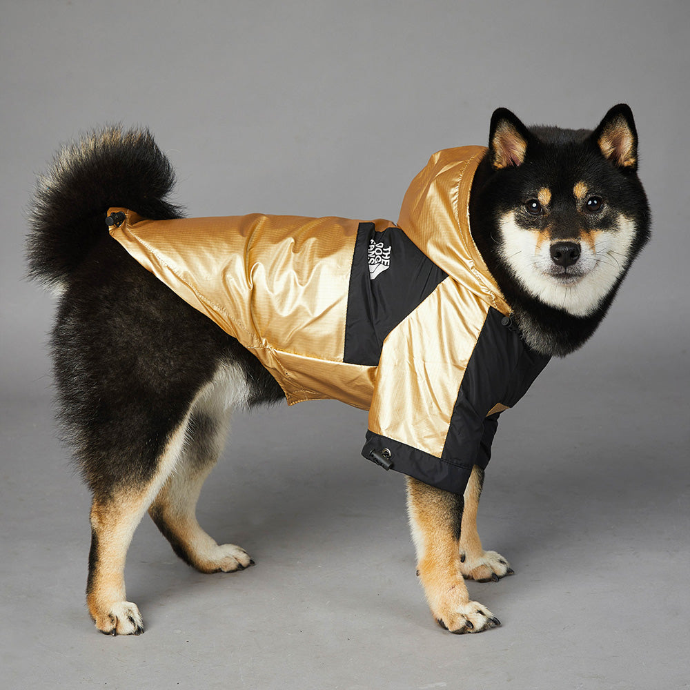 Pets Raincoat Streetwear Jacket