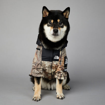 Pets Raincoat Streetwear Jacket