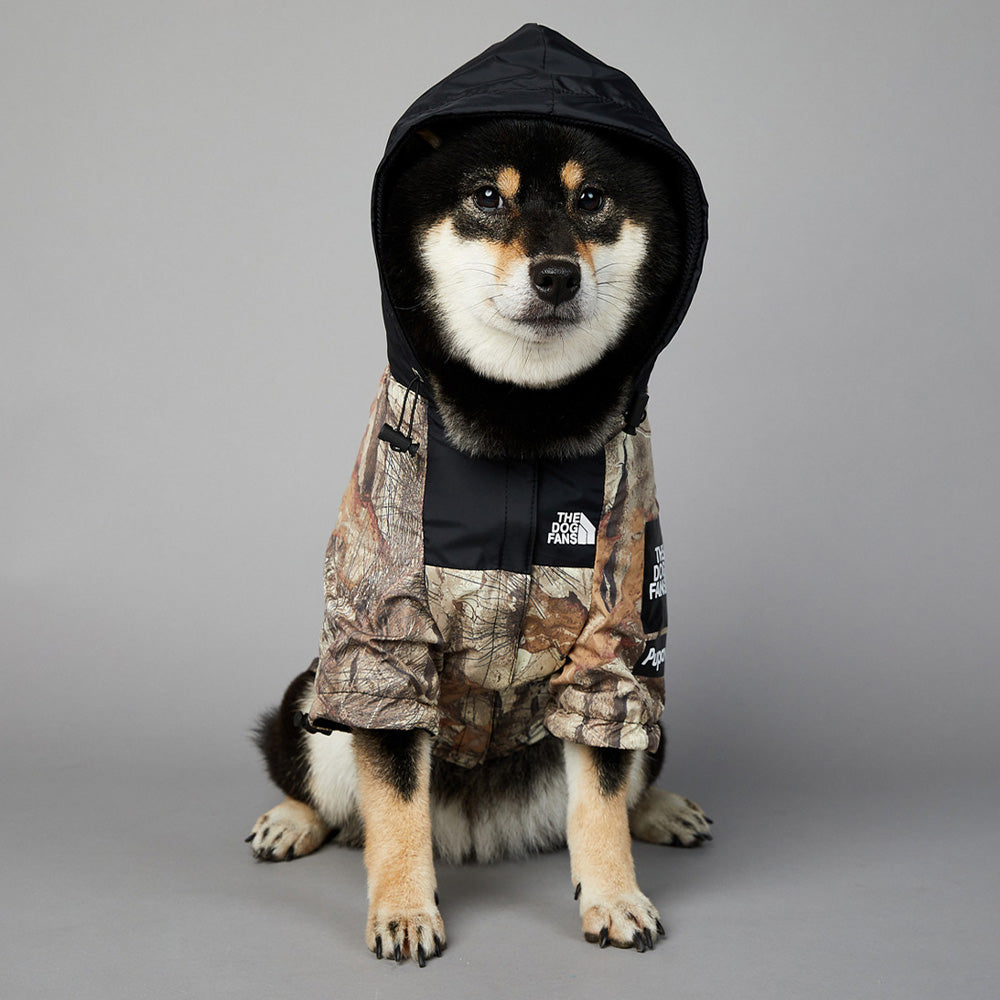 Pets Raincoat Streetwear Jacket