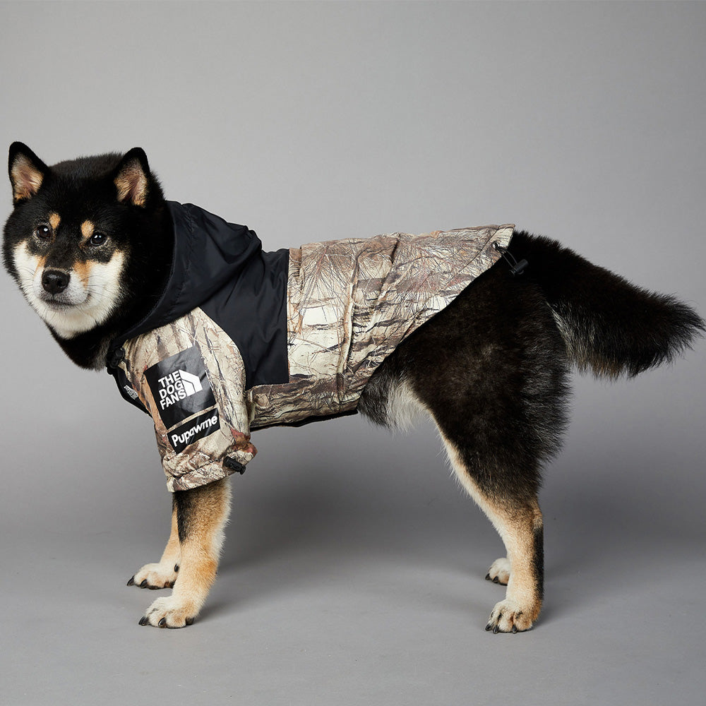 Pets Raincoat Streetwear Jacket