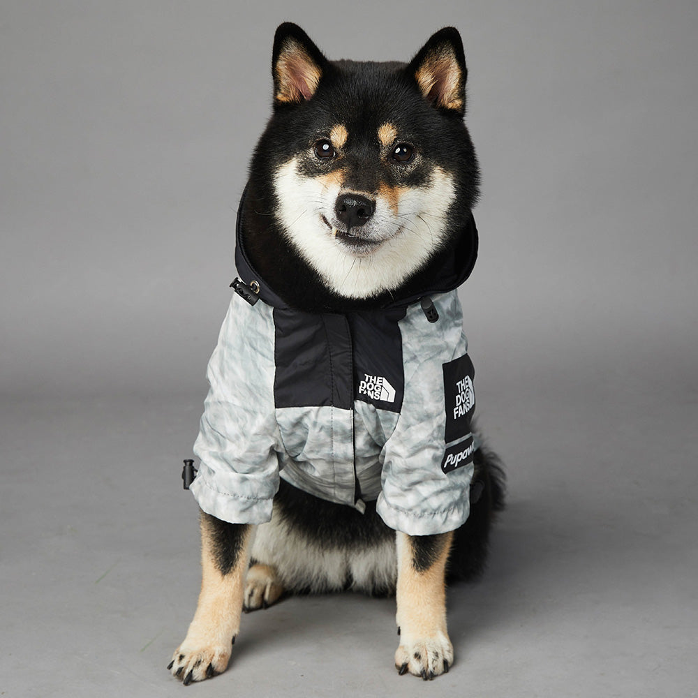 Pets Raincoat Streetwear Jacket