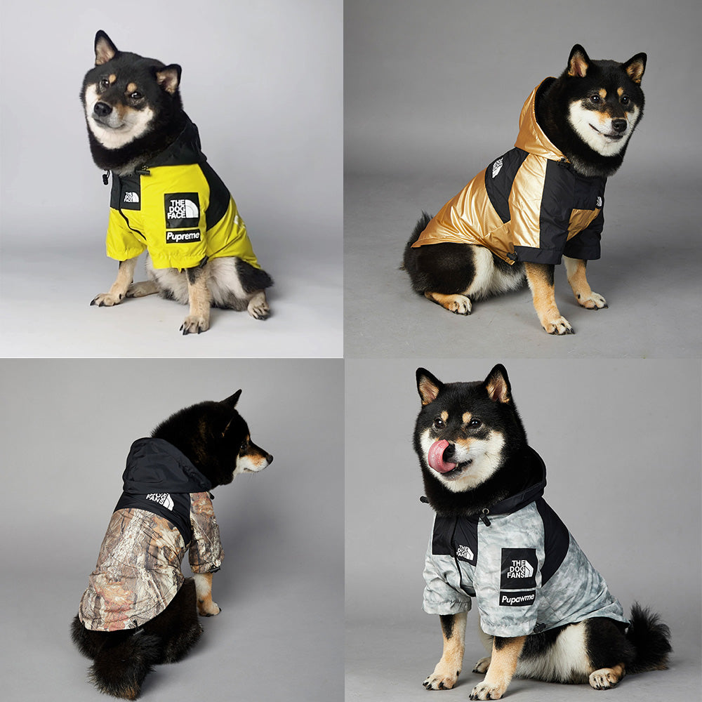 Pets Raincoat Streetwear Jacket