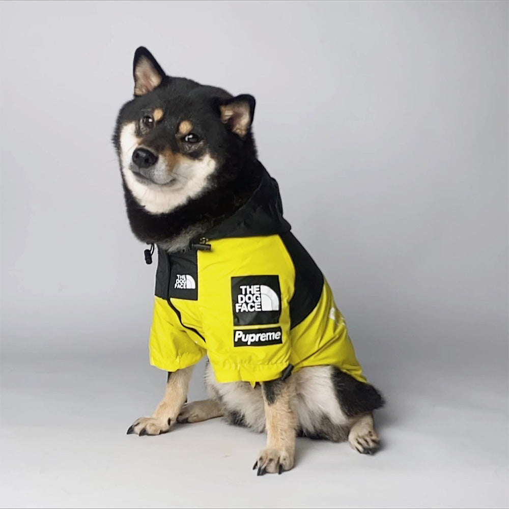 Pets Raincoat Streetwear Jacket