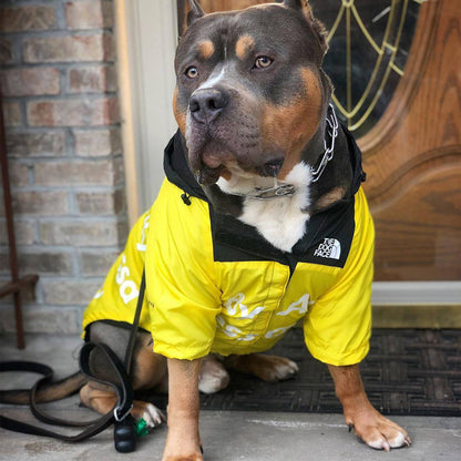 Pets Raincoat Streetwear Jacket