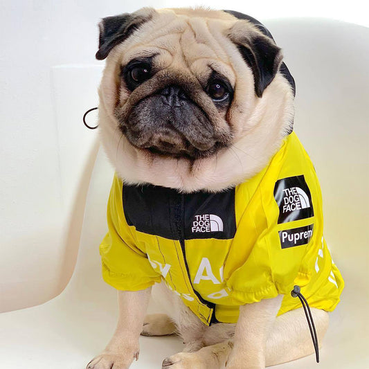 Pets Raincoat Streetwear Jacket