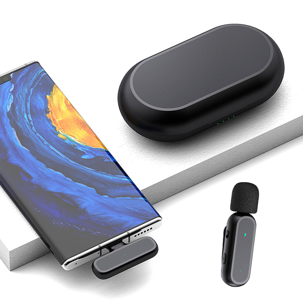 Mini Wireless Microphone
