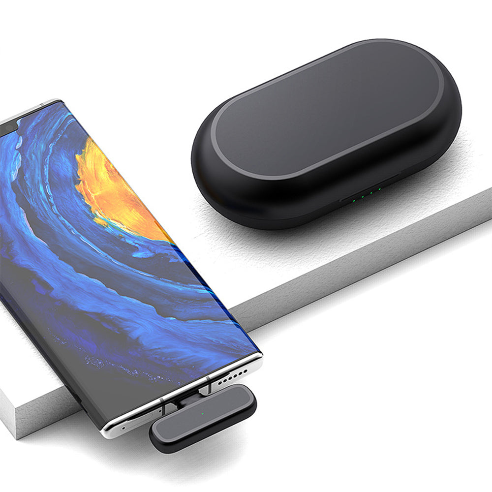 Mini Wireless Microphone