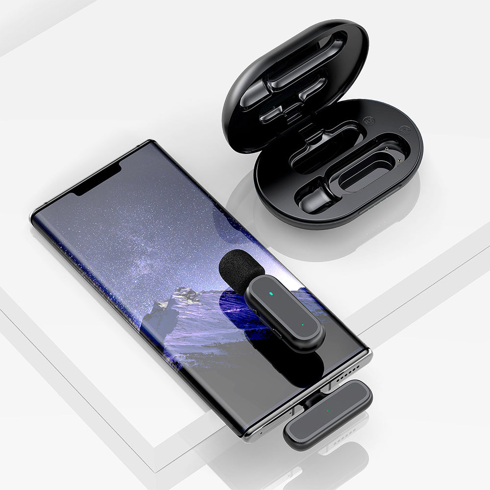 Mini Wireless Microphone