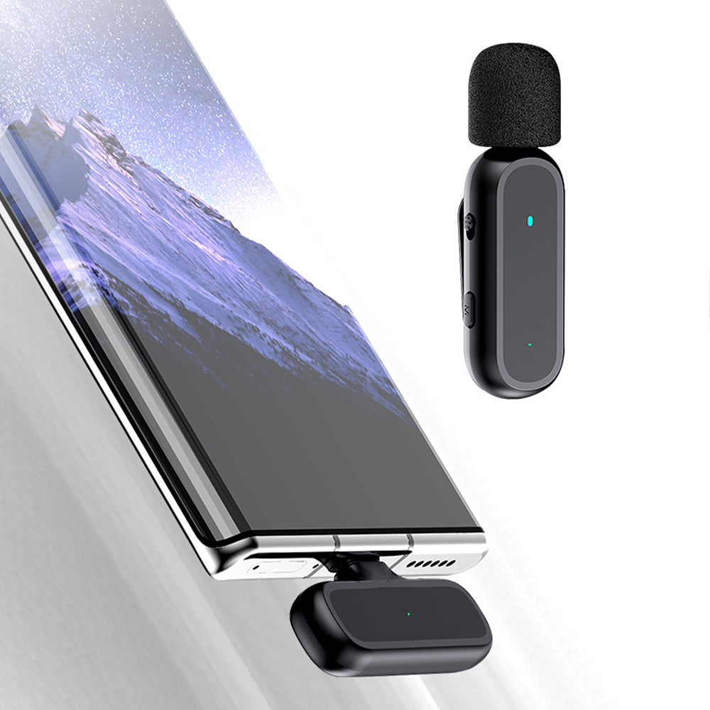 Mini Wireless Microphone