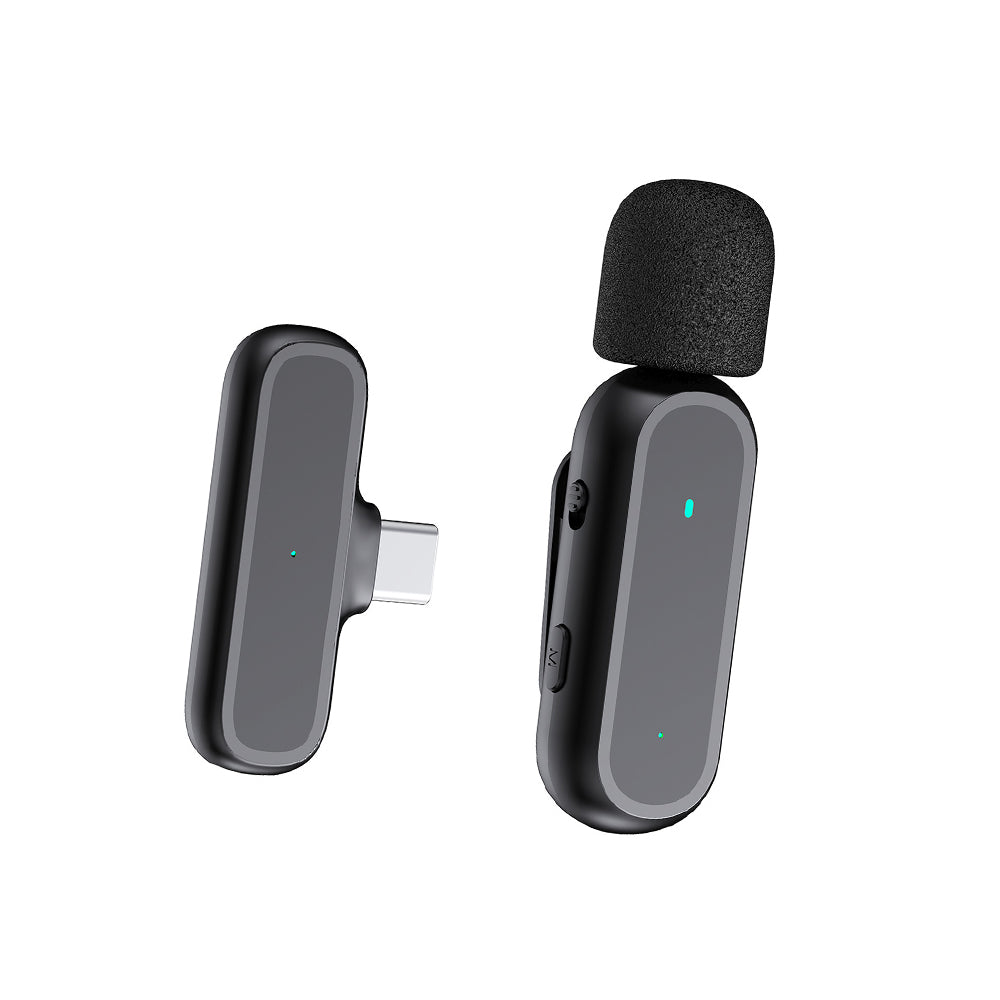 Mini Wireless Microphone