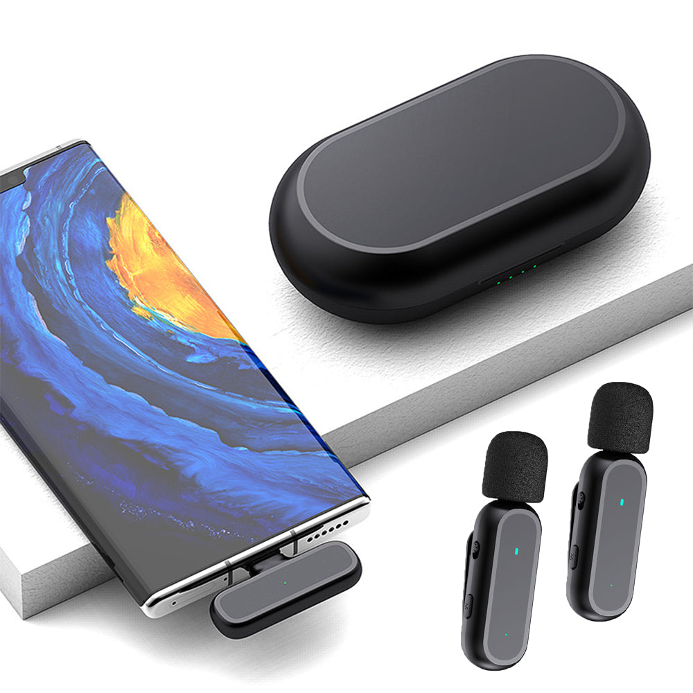 Mini Wireless Microphone