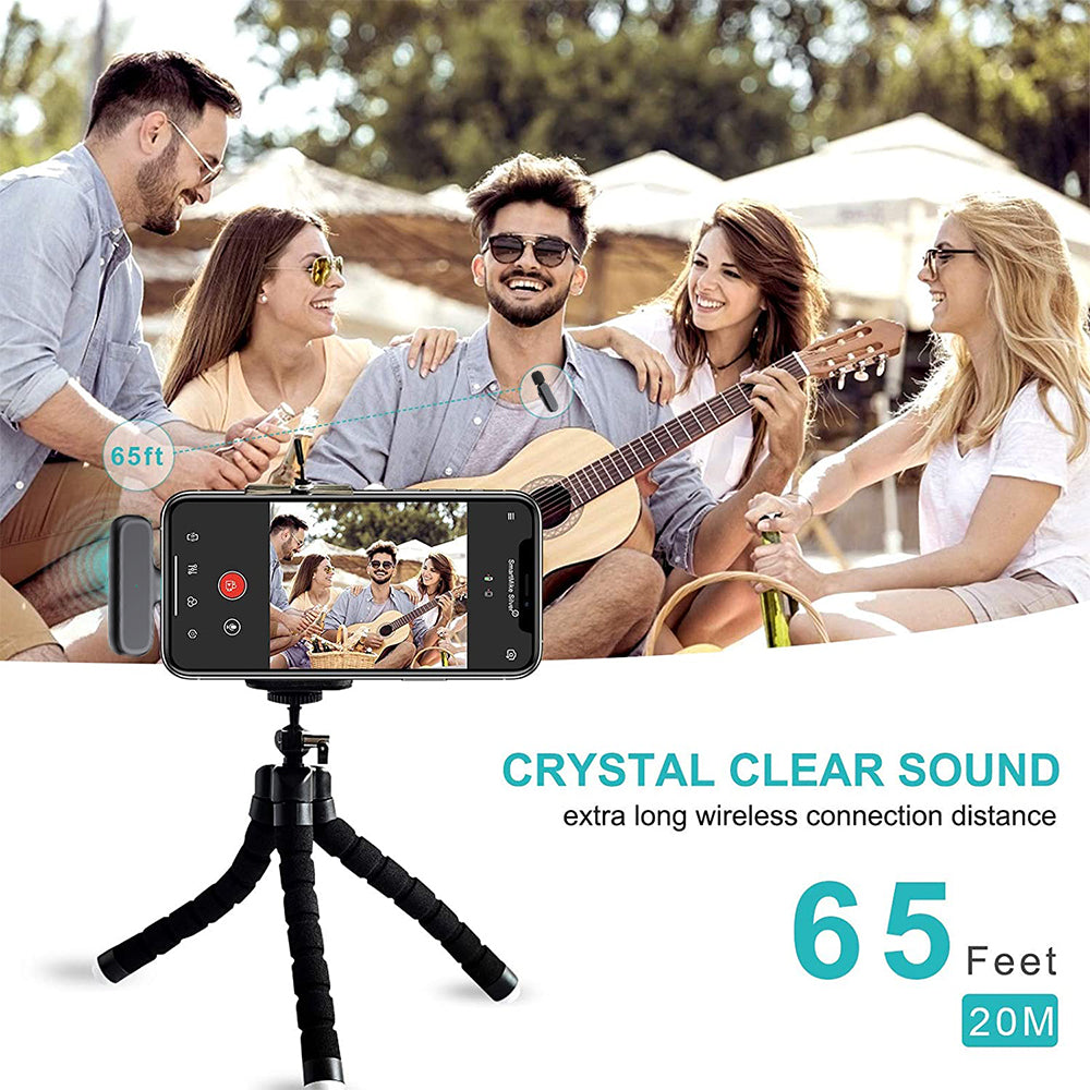 Mini Wireless Microphone