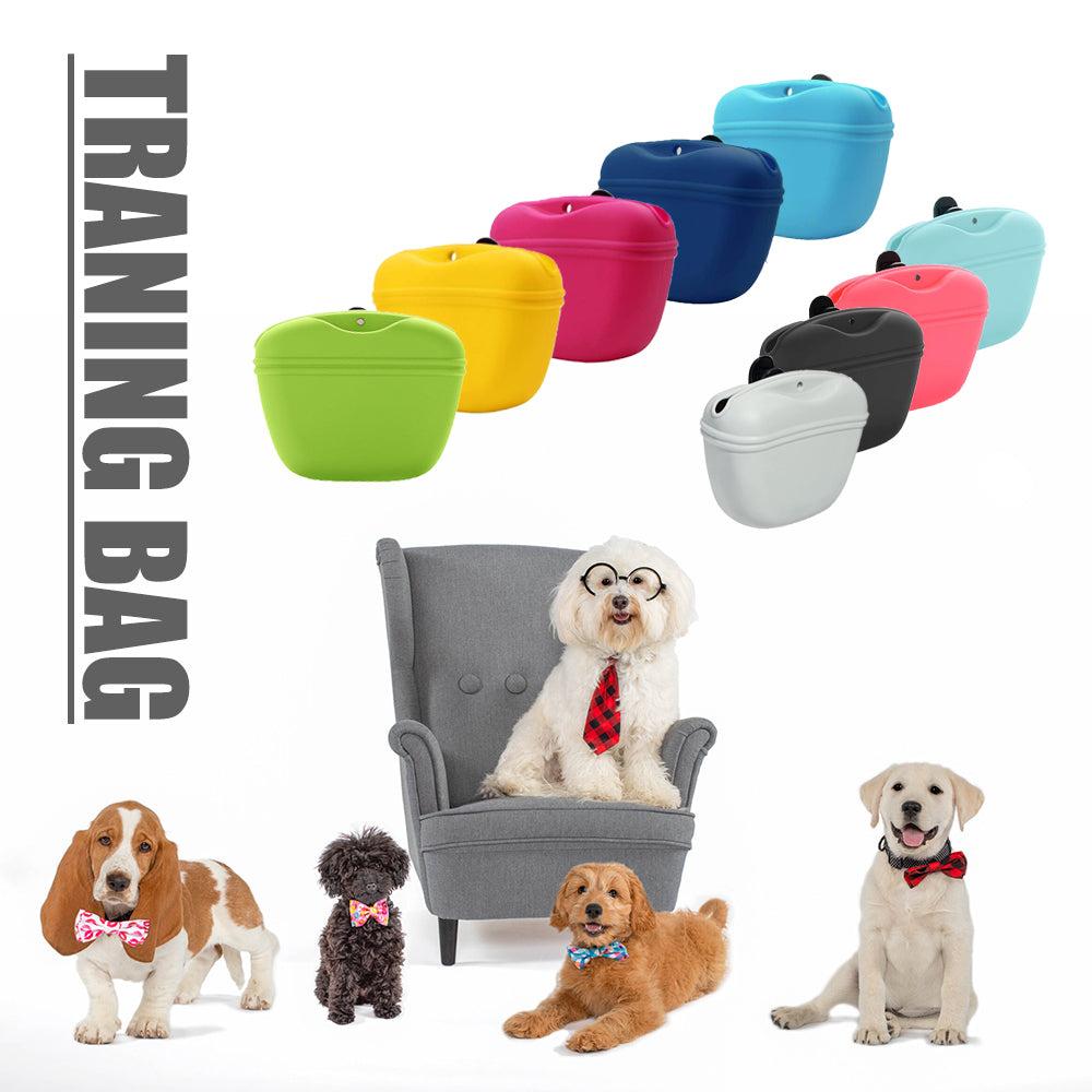Silicone Dog Treat Pouch