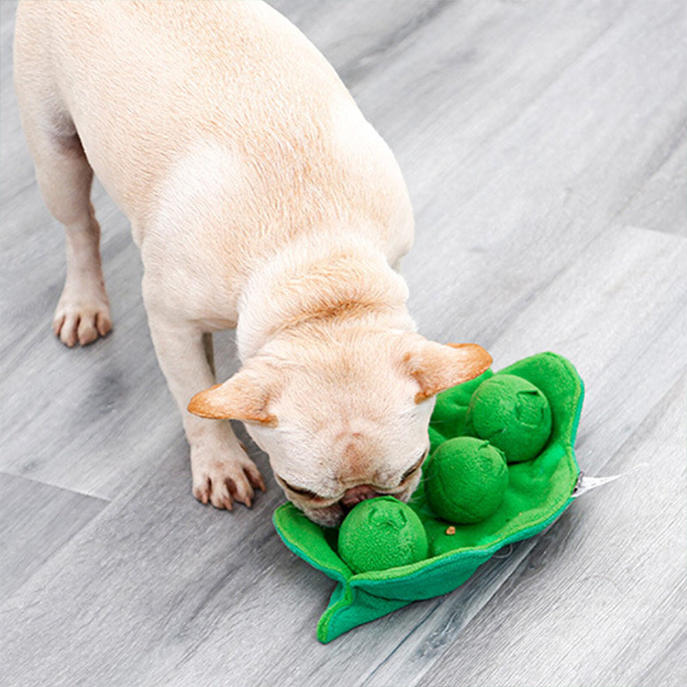 Dog Sniff Squeaky Toys