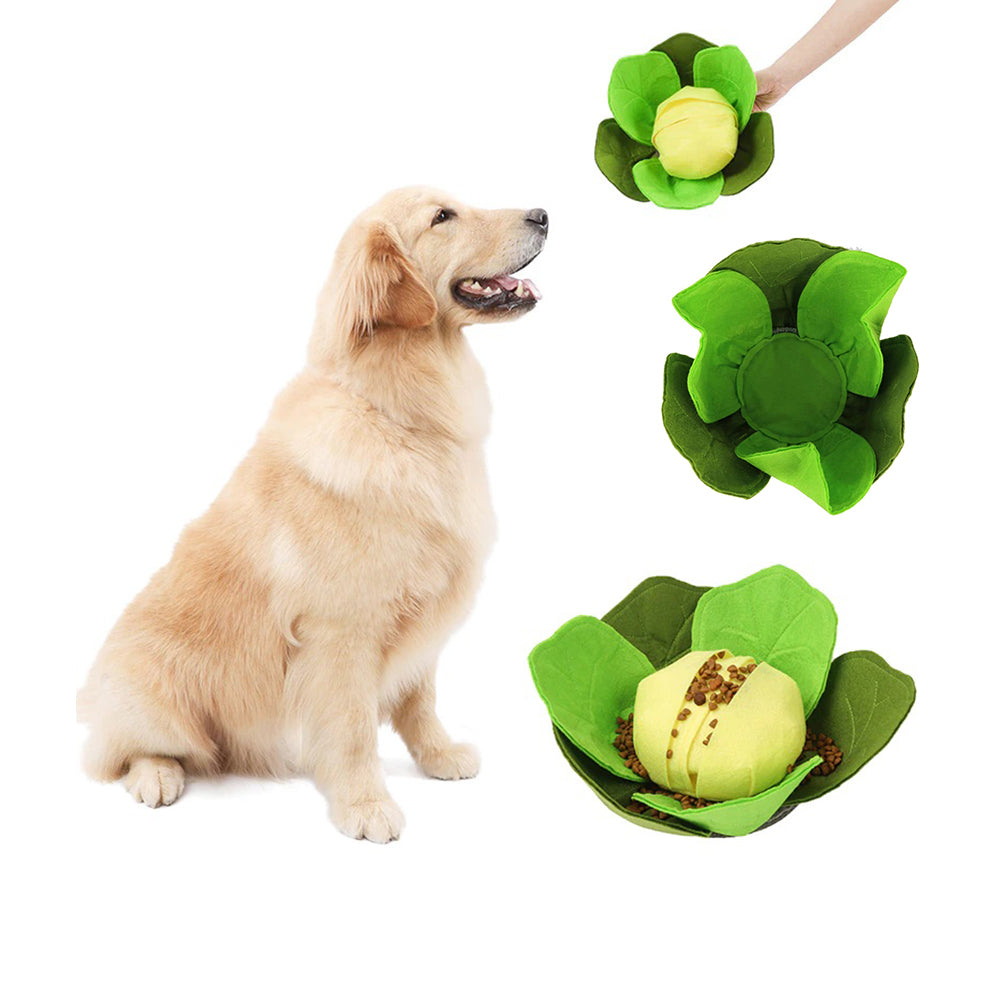 Dog Sniff Squeaky Toys