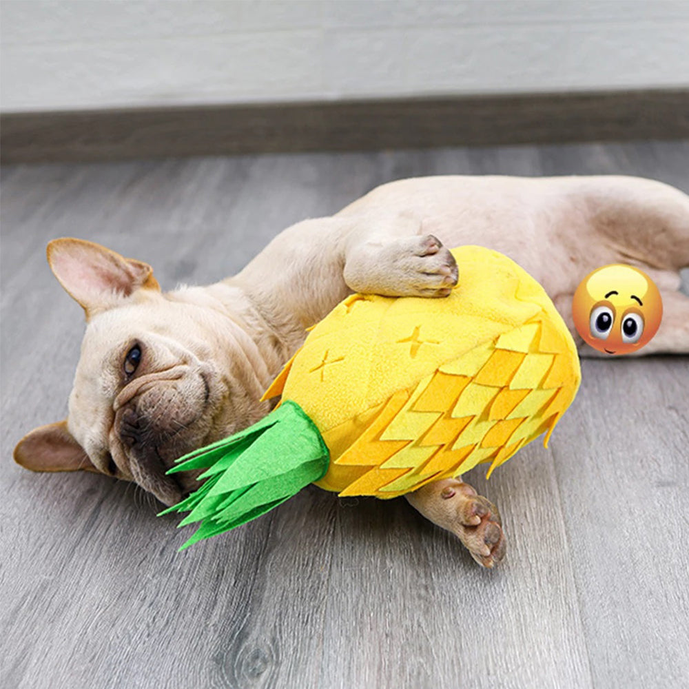 Dog Sniff Squeaky Toys