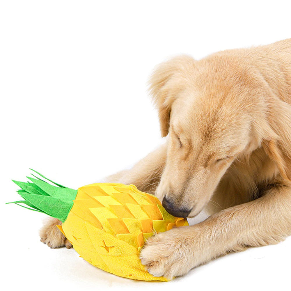 Dog Sniff Squeaky Toys