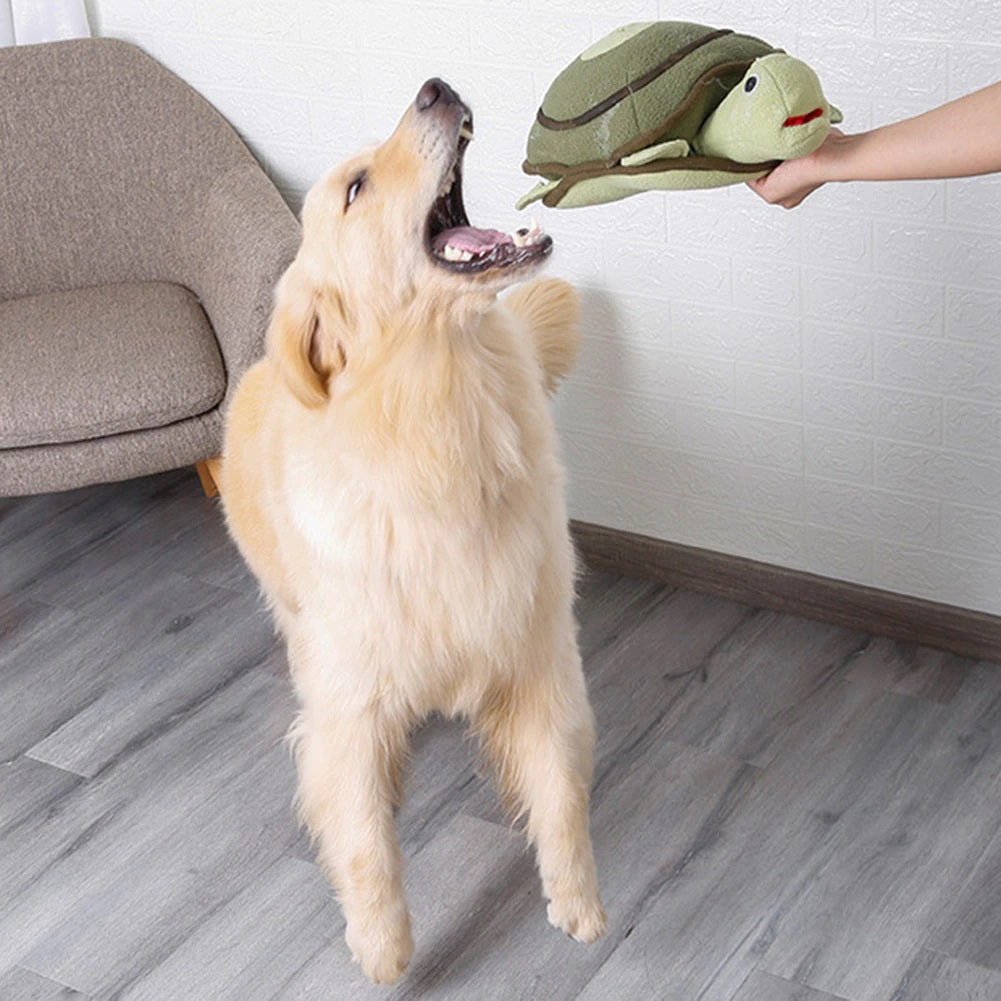 Dog Sniff Squeaky Toys