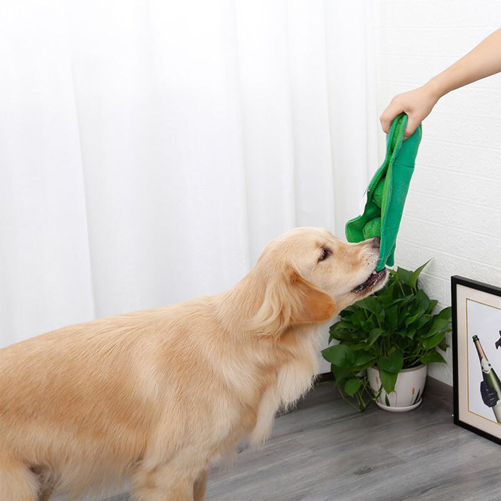 Dog Sniff Squeaky Toys