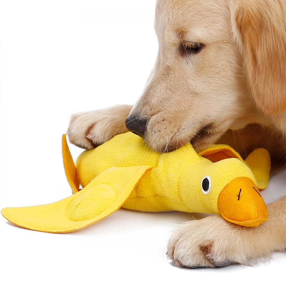 Dog Sniff Squeaky Toys